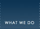 What We Do